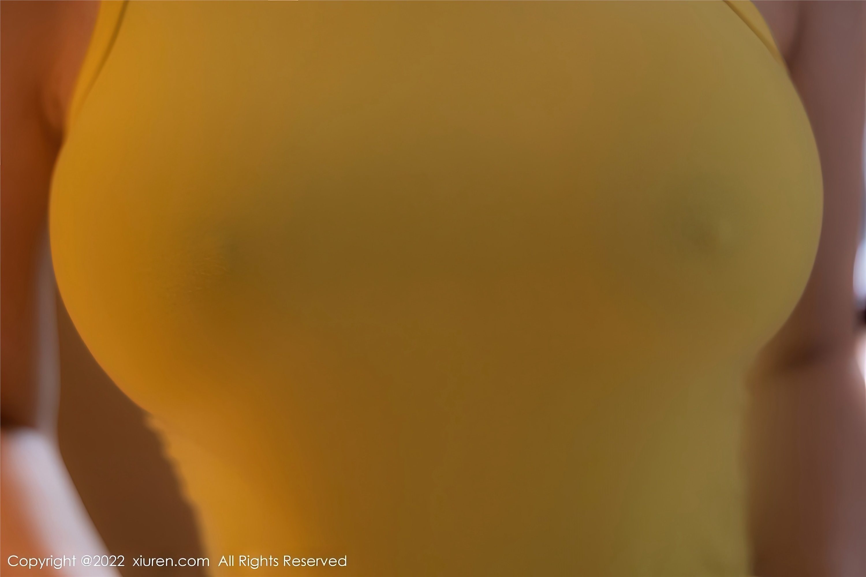 Xiuren秀人网 2022.11.11 NO.5843 顾乔楠Cora